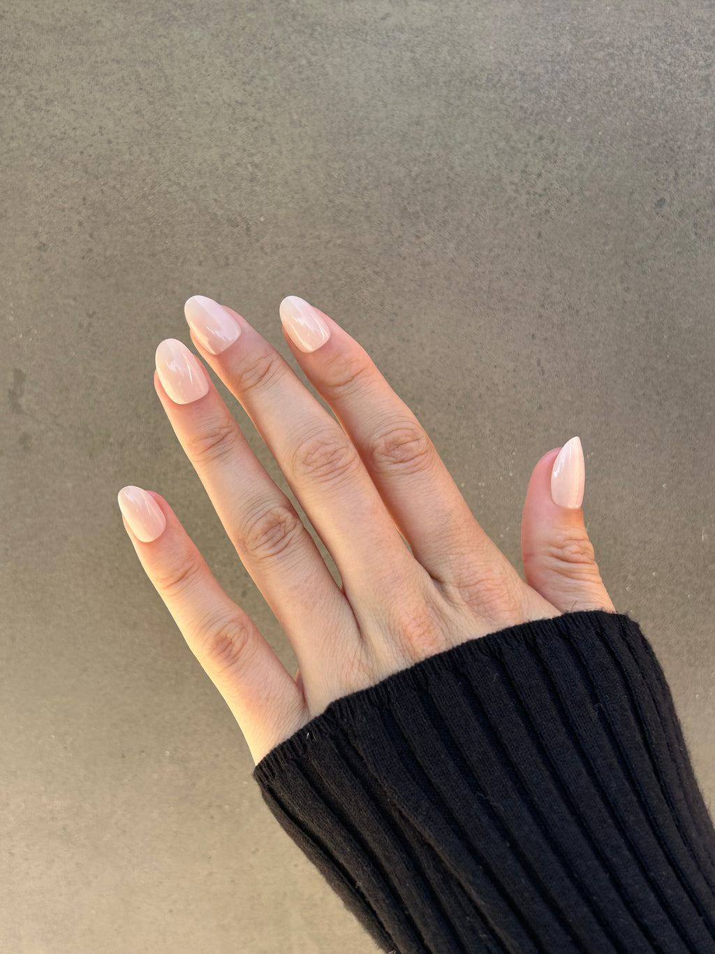 Fawn - oval