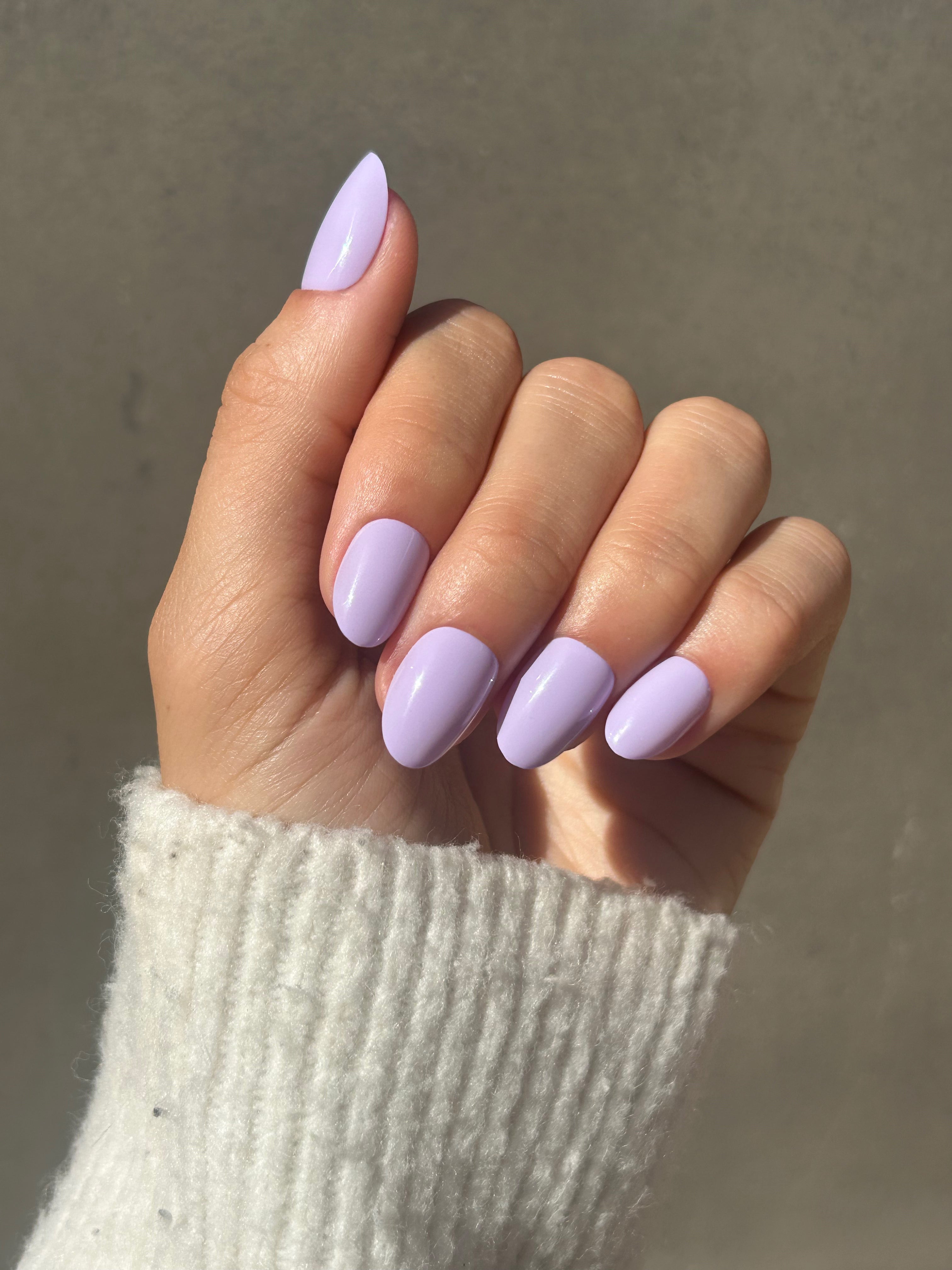 Lavender - oval